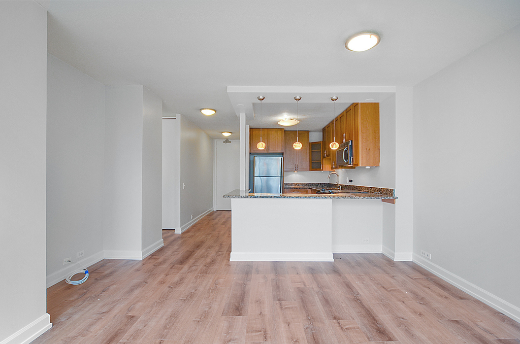 405 N Wabash Avenue - Photo 2