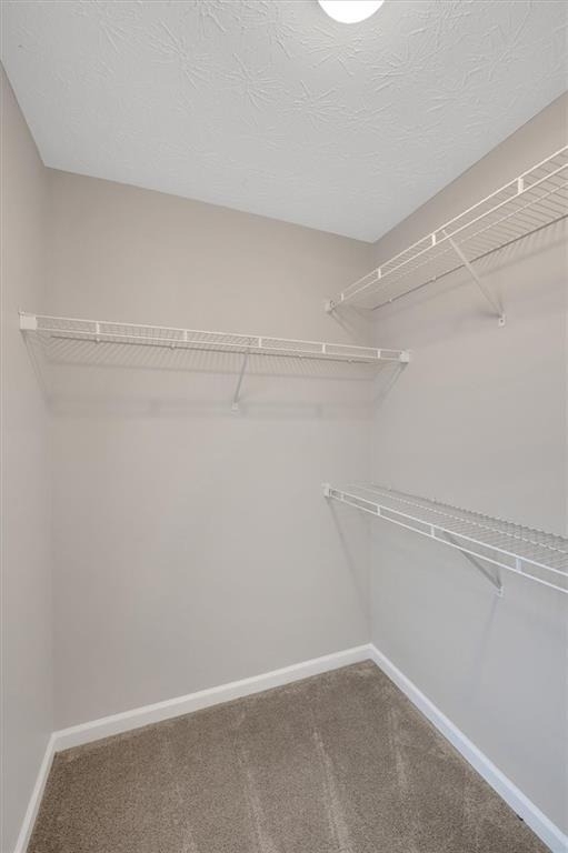 940 Tree Creek Boulevard - Photo 30