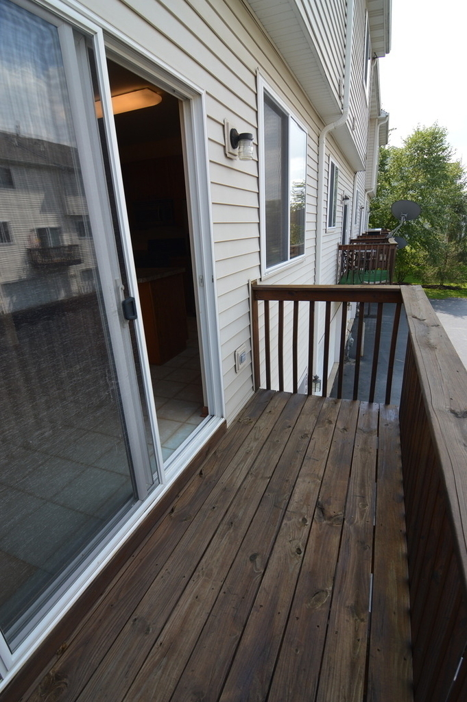 206 Terra Firma Lane - Photo 17
