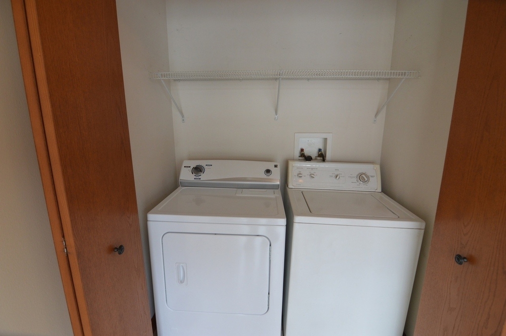 206 Terra Firma Lane - Photo 16