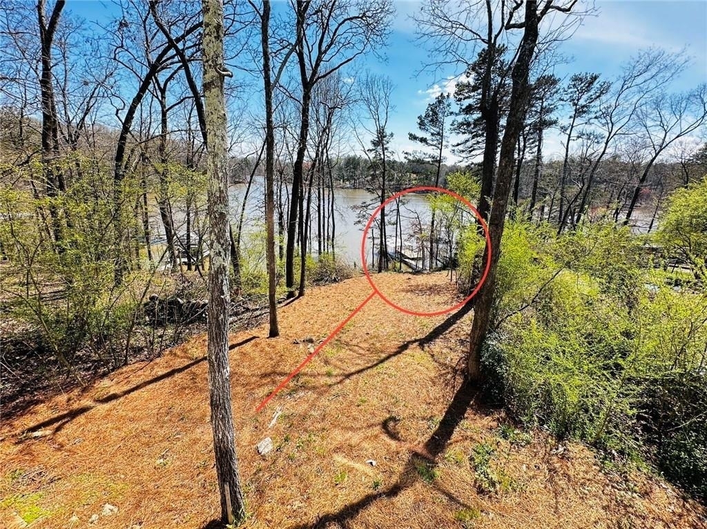 6960 Diana Circle - Photo 47