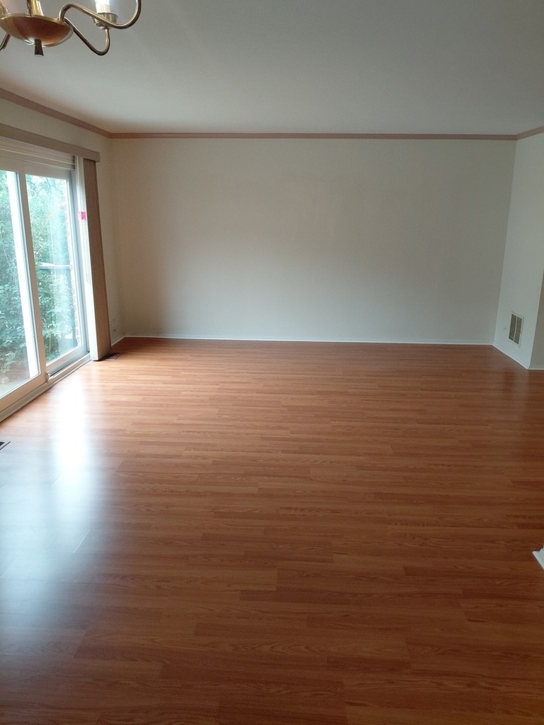 1538 Coloma Court - Photo 4