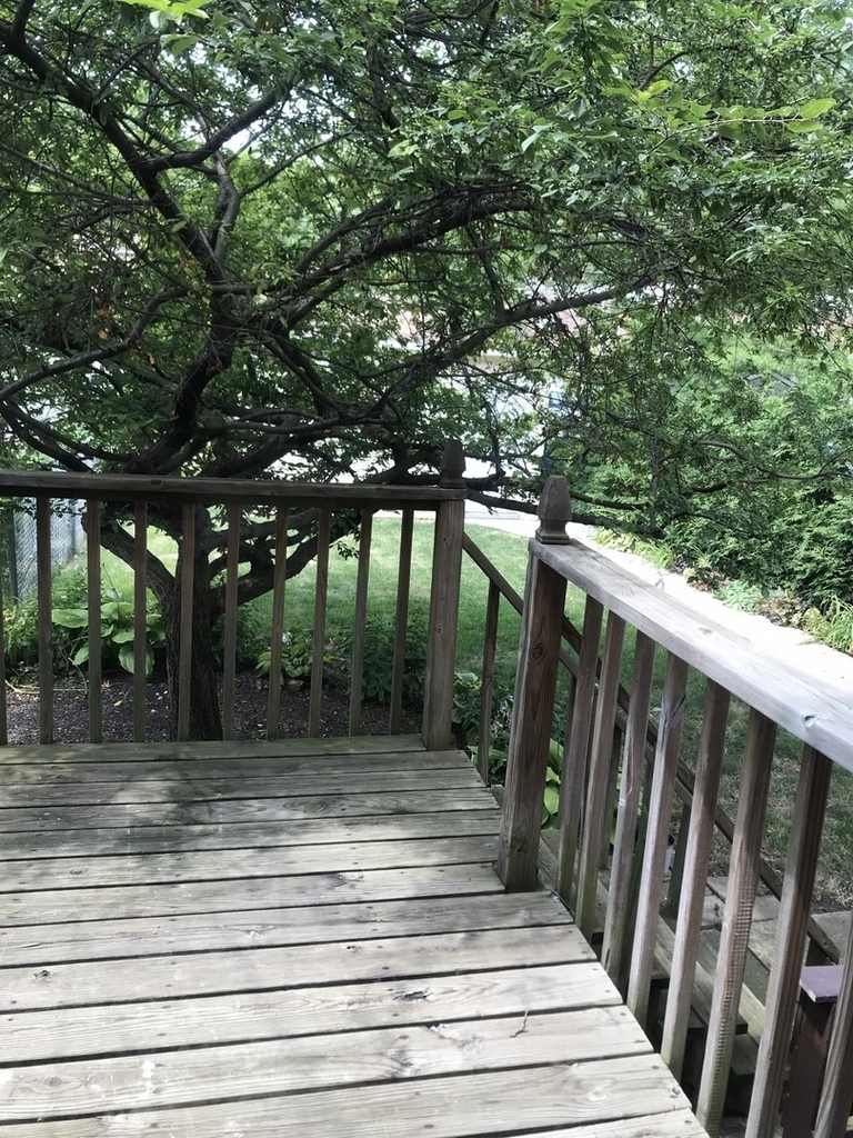 1748 Orchard Street - Photo 8