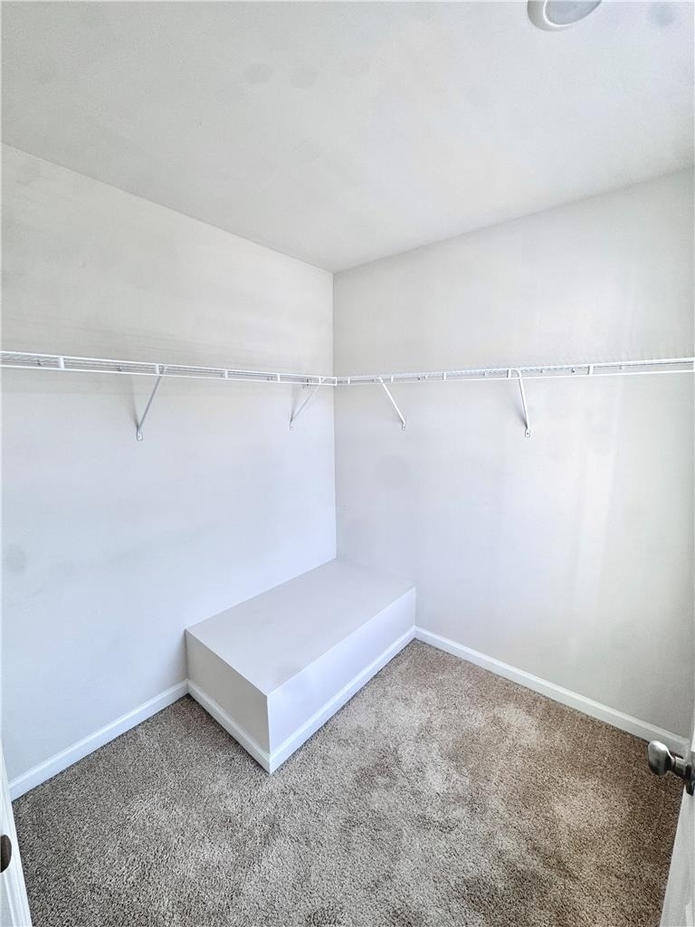 1161 Lova Lane - Photo 13