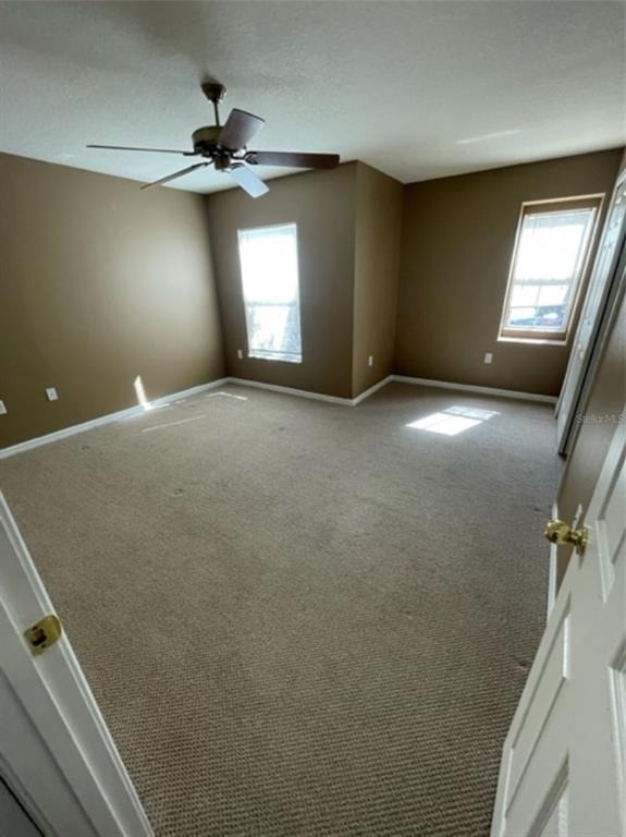 10934 Johanna Avenue - Photo 16