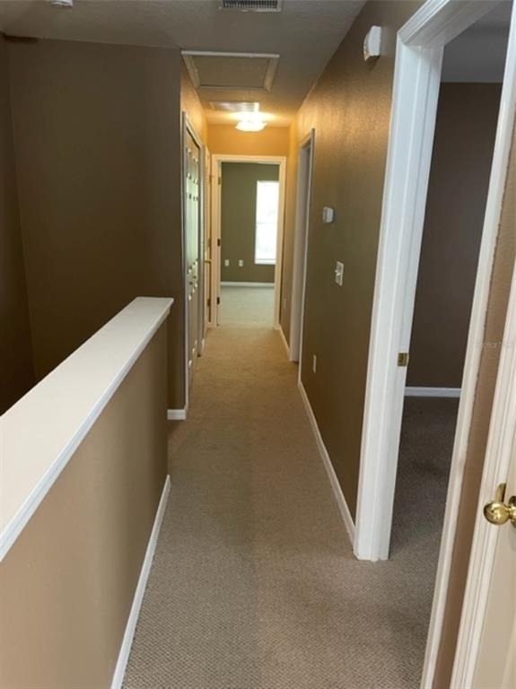 10934 Johanna Avenue - Photo 17