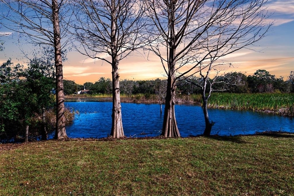 11416 Pine Forest Drive - Photo 43