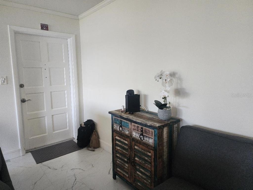 1003 S Bayshore Boulevard - Photo 2
