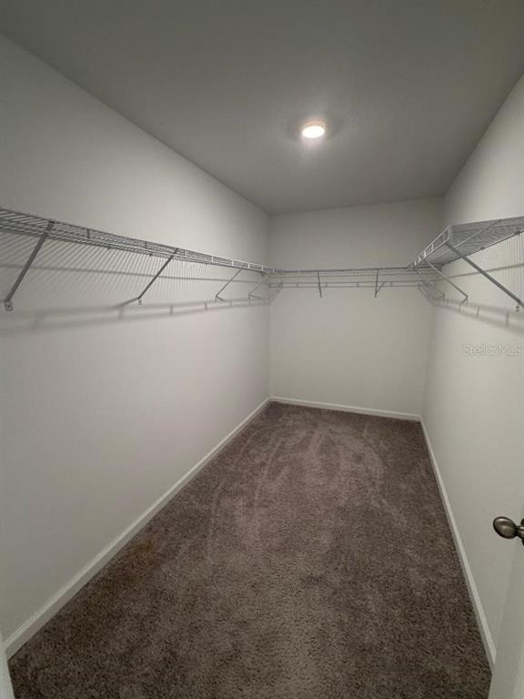 393 Grand Pine Lane - Photo 9