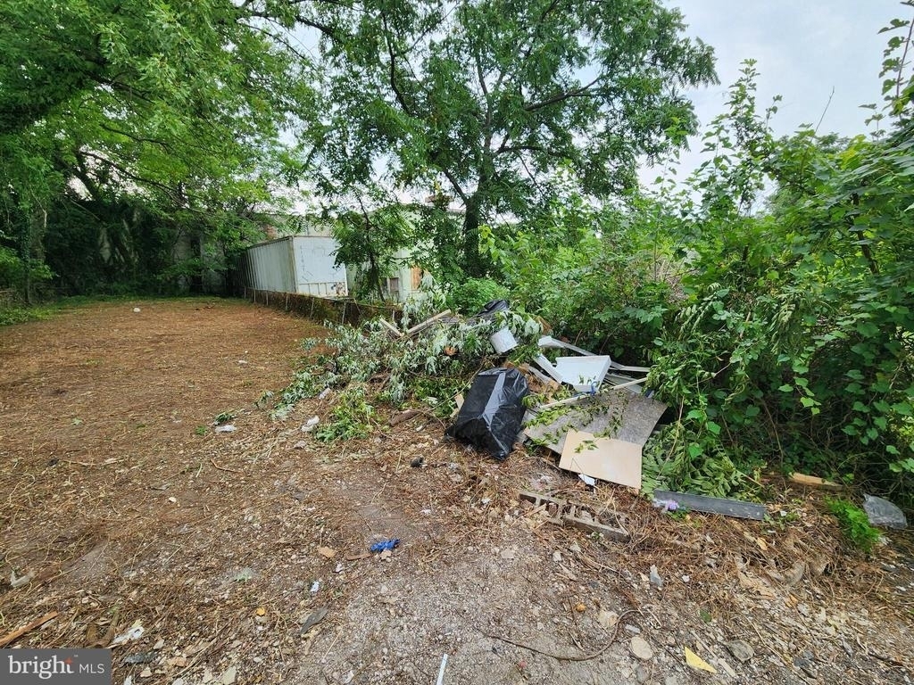 523 Wellesley Street - Photo 23