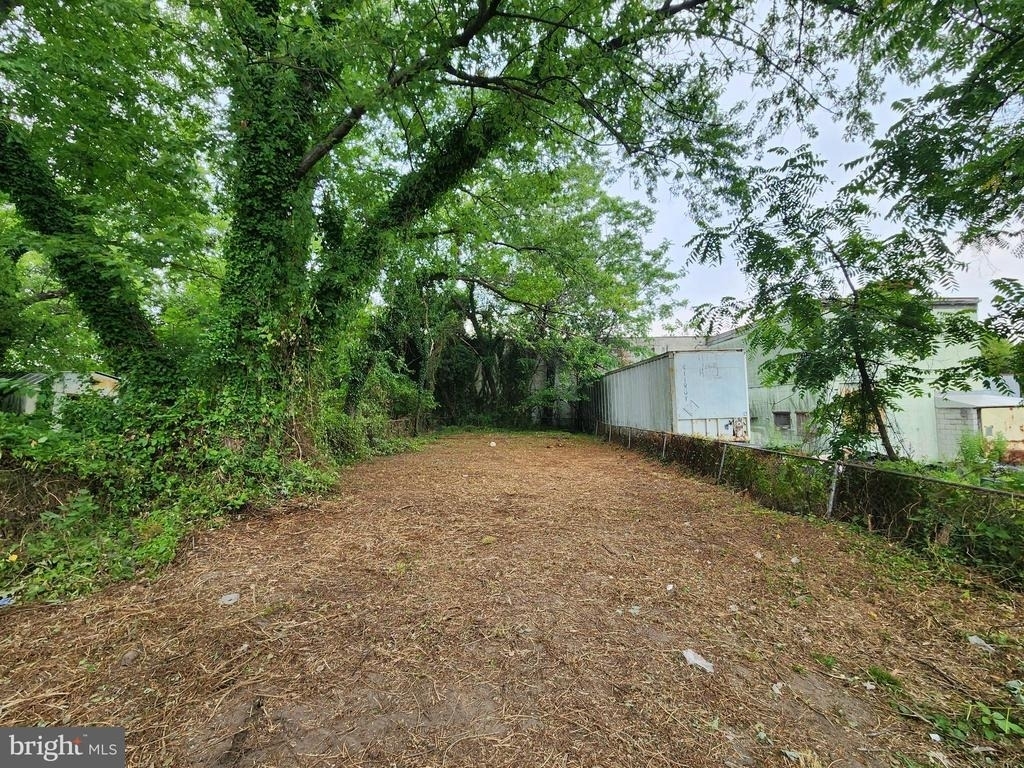 523 Wellesley Street - Photo 22