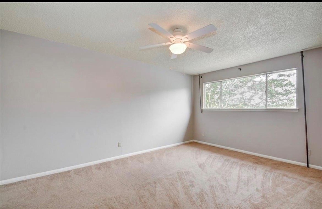 10254 Hammerly Boulevard - Photo 16
