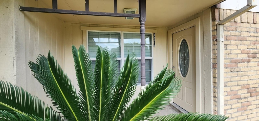 7402 Alegria Drive - Photo 3