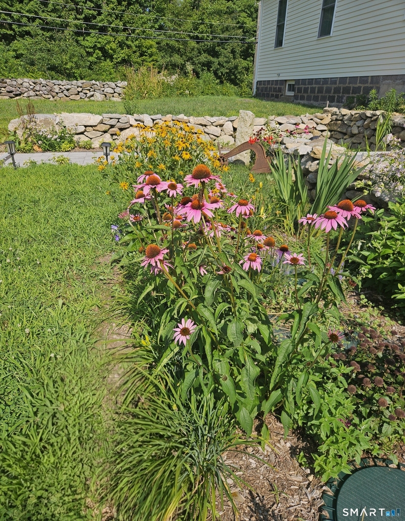 15 Brook Street - Photo 11