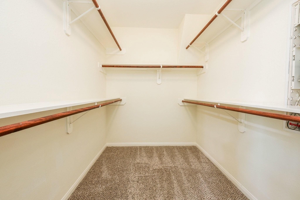11123 Overland Trail Drive - Photo 12