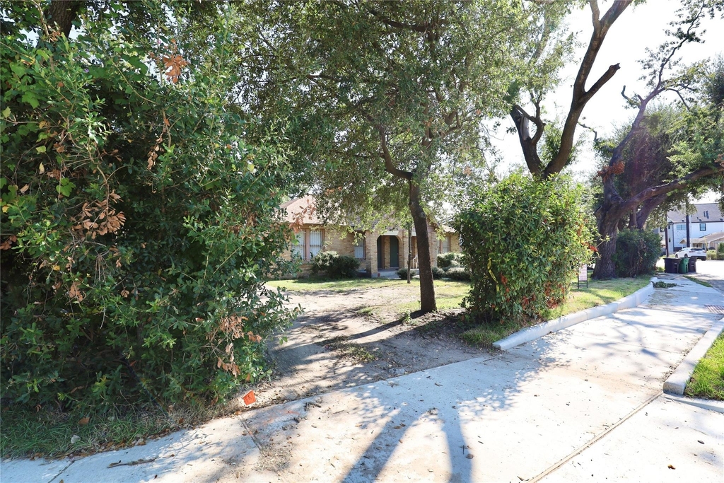 1125 Usener Street - Photo 4