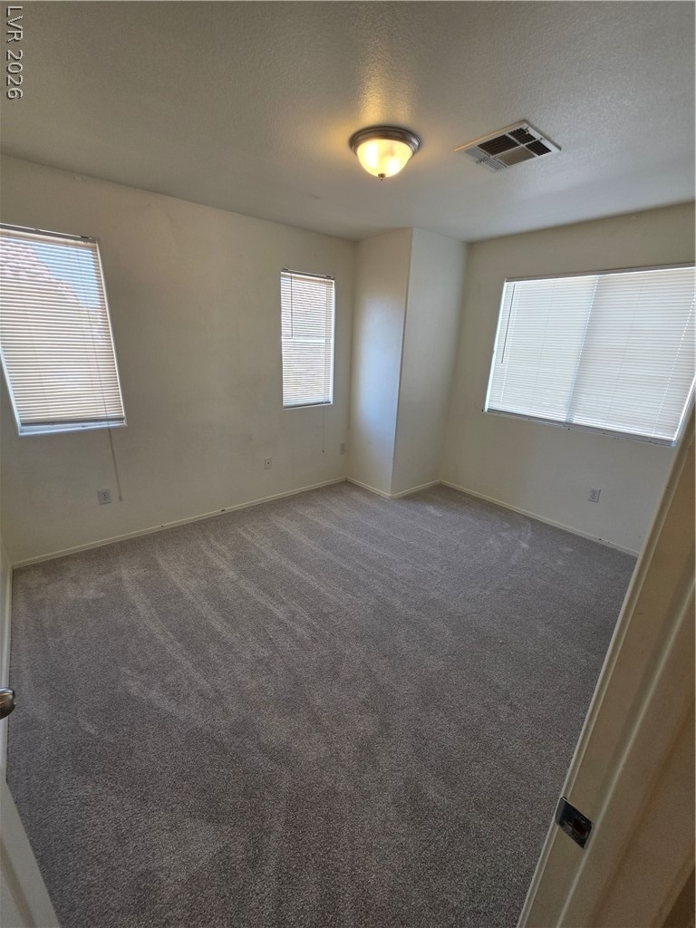 7124 Plushstone Street - Photo 12