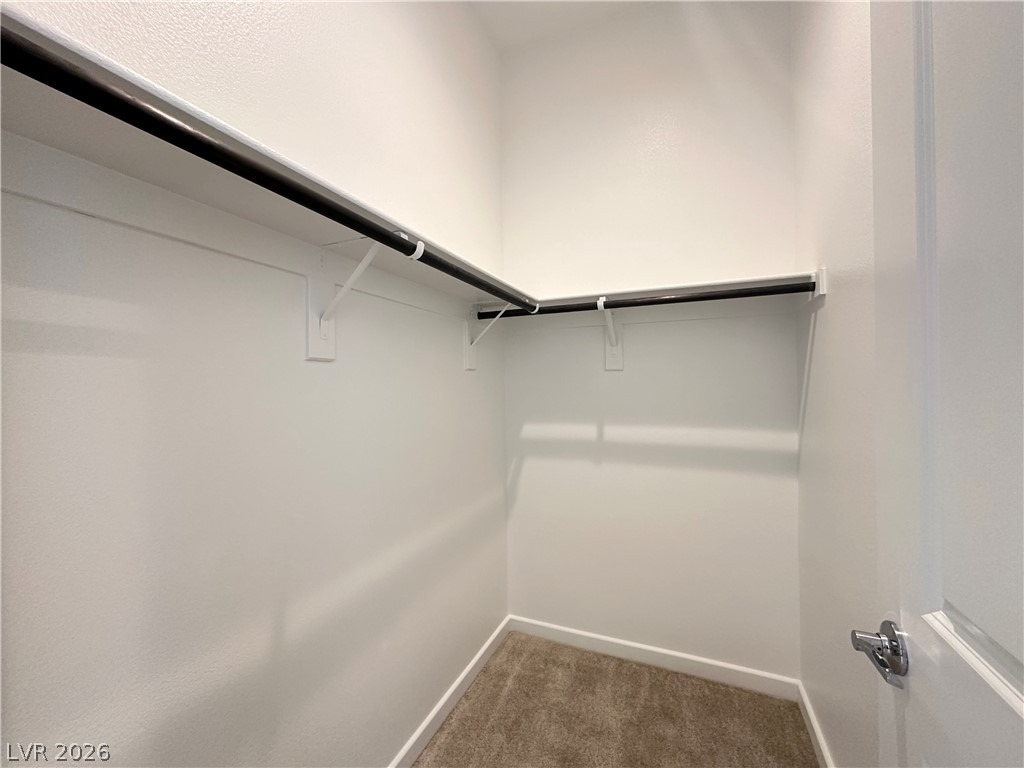 3331 Esker Ridge Avenue - Photo 21