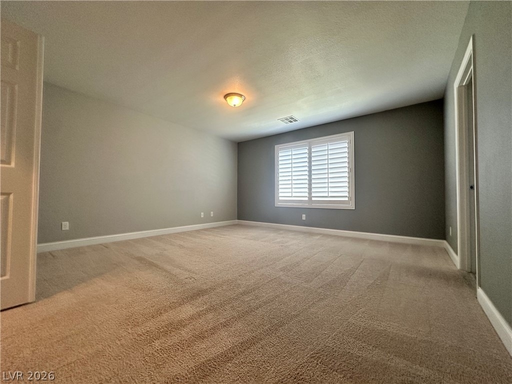 5937 Gordon Creek Avenue - Photo 14