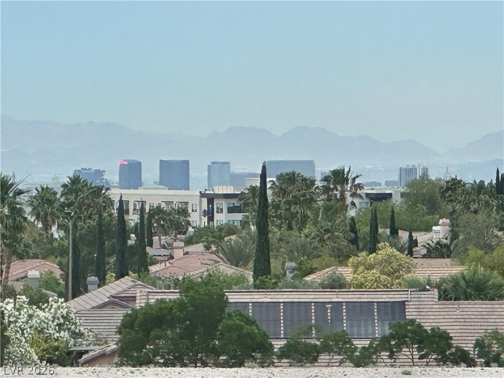 10637 Turquoise Valley Drive - Photo 62