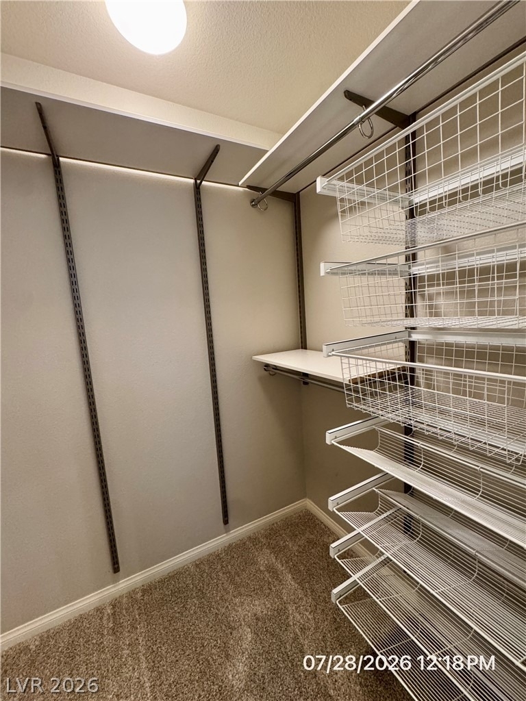 6049 Thistle Meadow Avenue - Photo 29