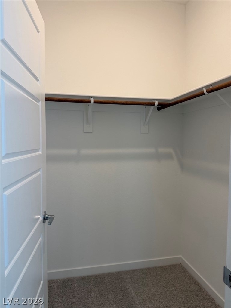 1474 Great Snipe Avenue - Photo 24
