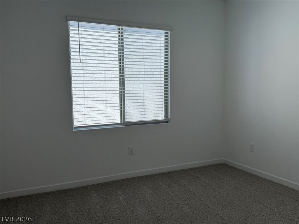 1474 Great Snipe Avenue - Photo 19