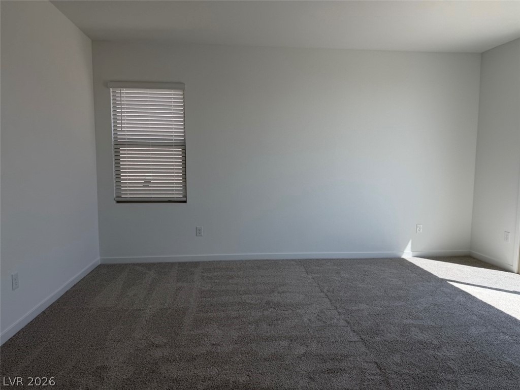 1474 Great Snipe Avenue - Photo 17