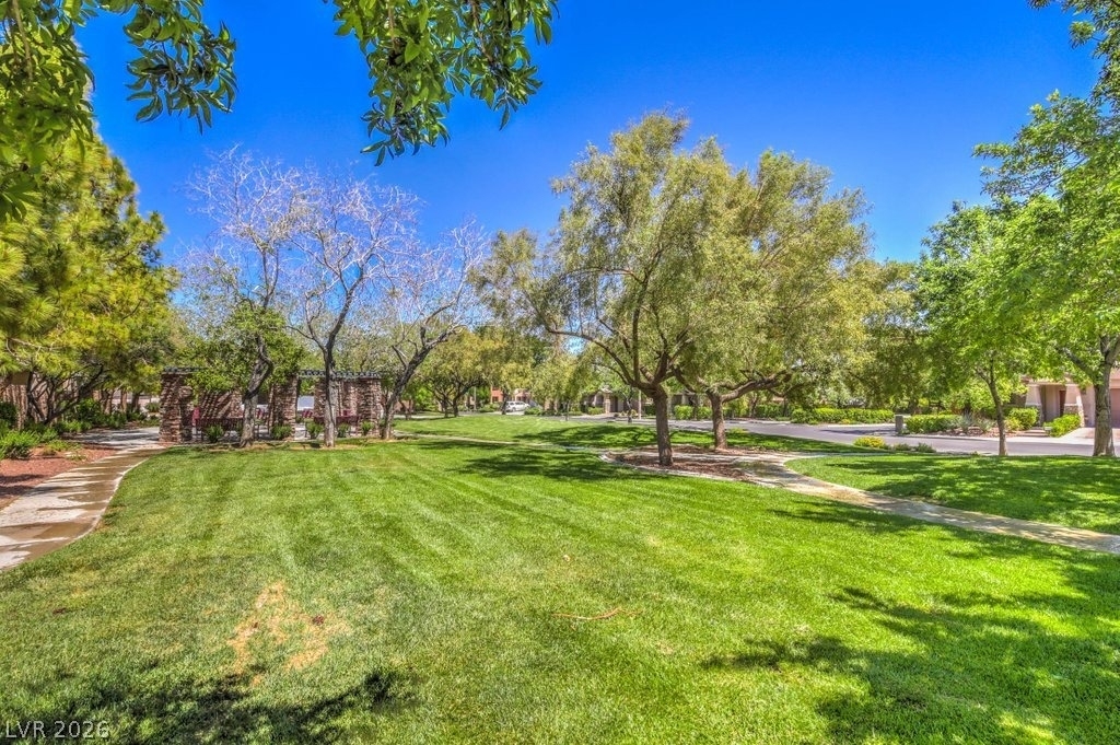 10517 Howling Coyote Avenue - Photo 31