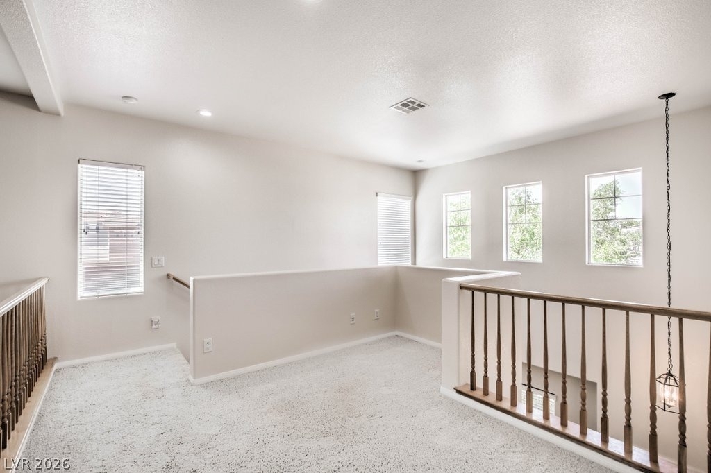 10517 Howling Coyote Avenue - Photo 15