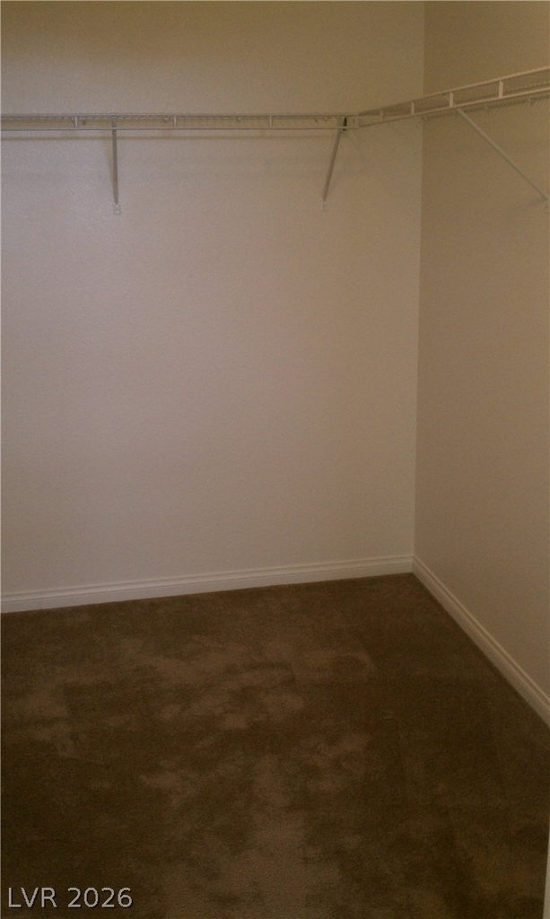 5493 Ovando Way - Photo 13