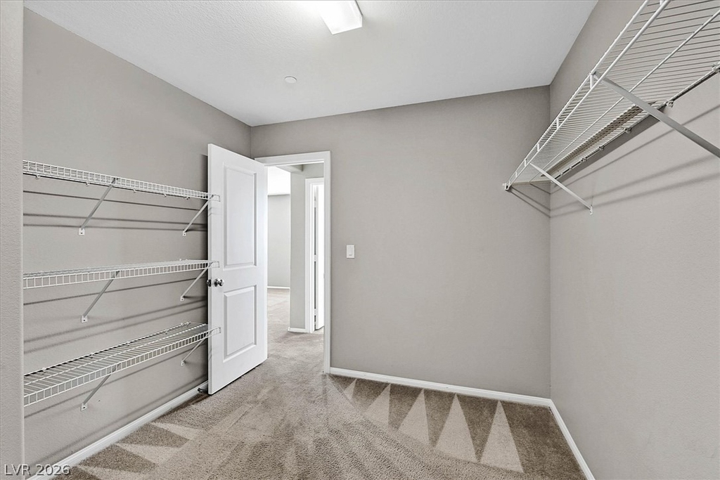 2823 Turnstone Ridge Street - Photo 13