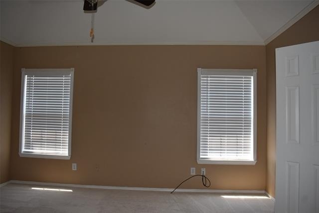 4207 Sarasota Lane - Photo 11