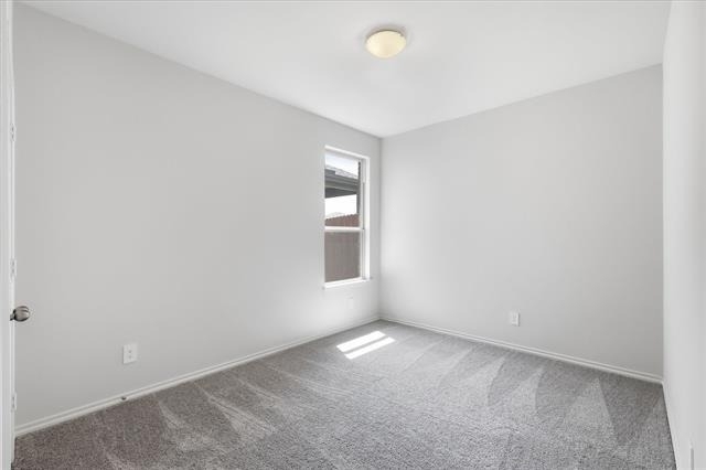 3311 Dahlia Drive - Photo 16