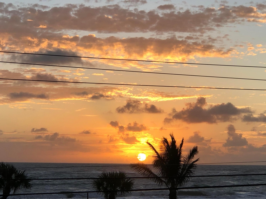 5159 N Hwy A1a N - Photo 100