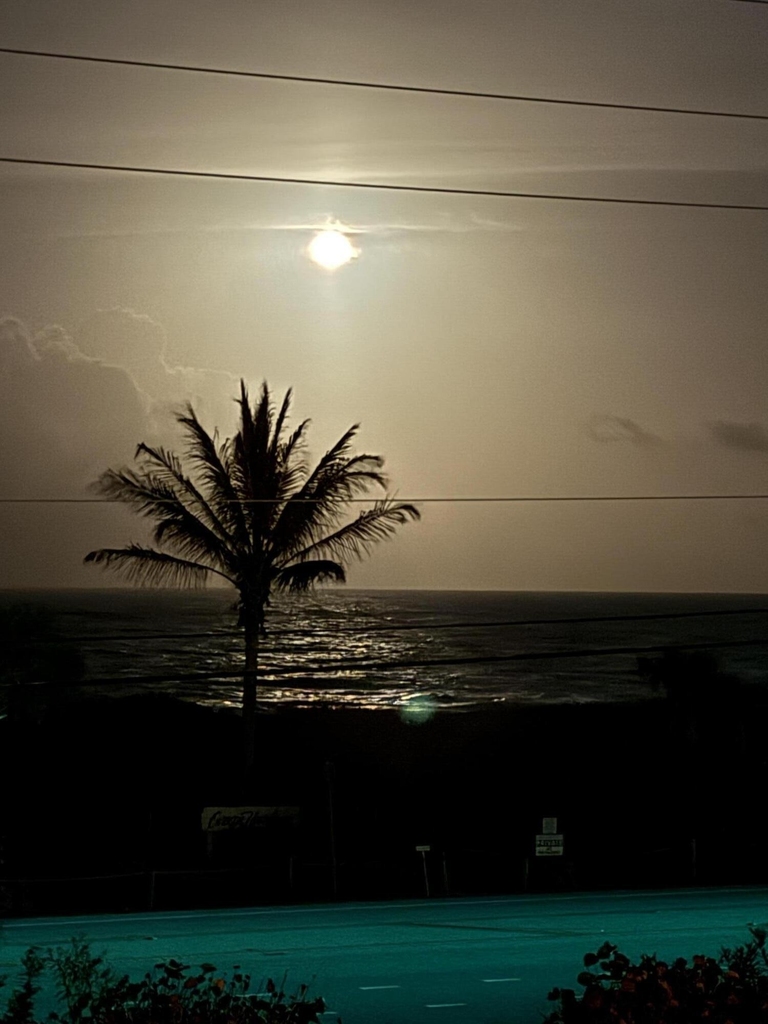 5159 N Hwy A1a N - Photo 62