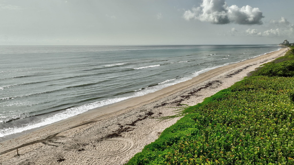 7420 S Ocean Drive - Photo 43