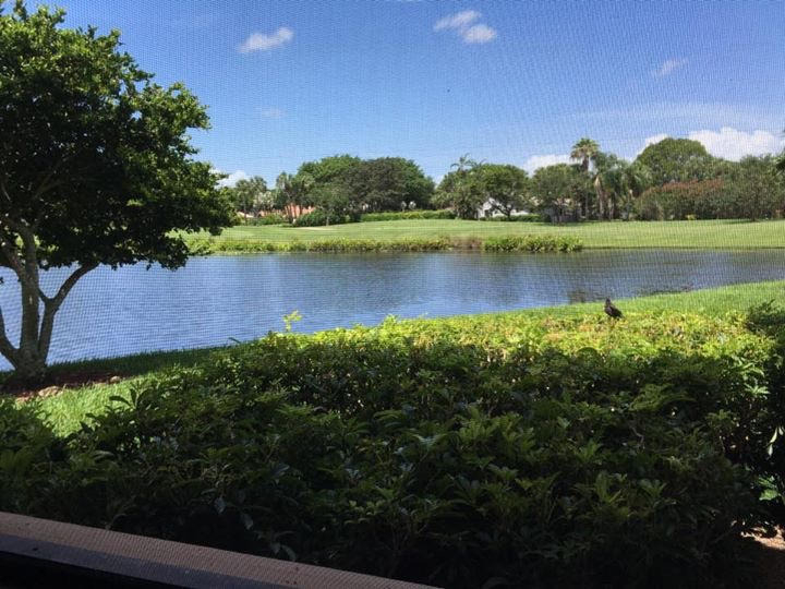 19249 Sabal Lake Drive - Photo 1