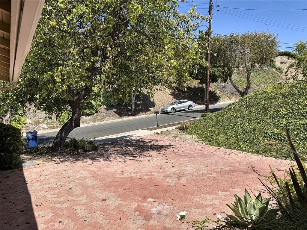 28845 Briarhurst - Photo 43