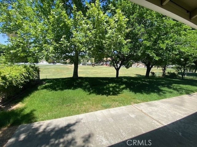 19742 Oak Flat Road - Photo 12