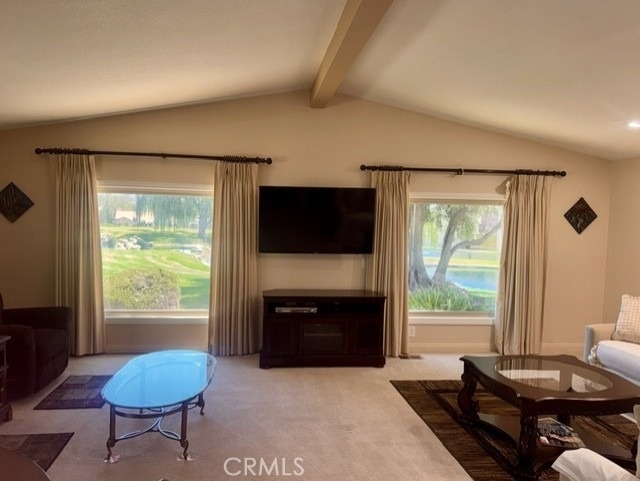 40913 Lincoln Place - Photo 4