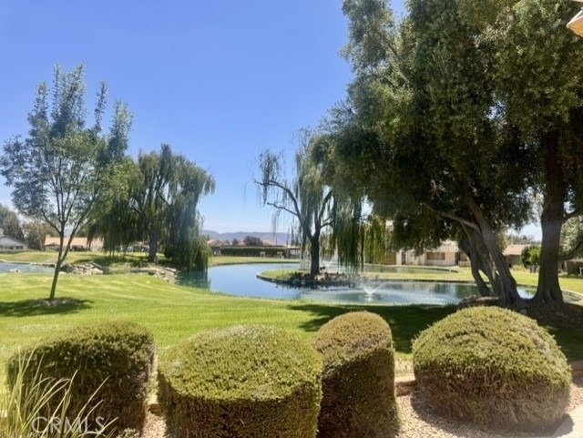40913 Lincoln Place - Photo 17