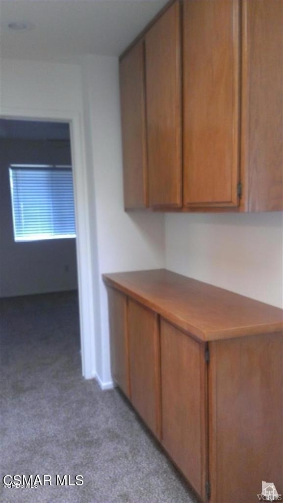4117 Lost Springs Drive - Photo 20