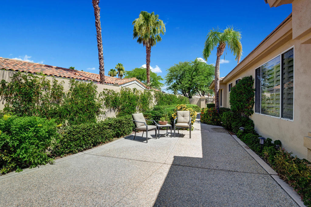 383 Desert Holly Drive - Photo 6