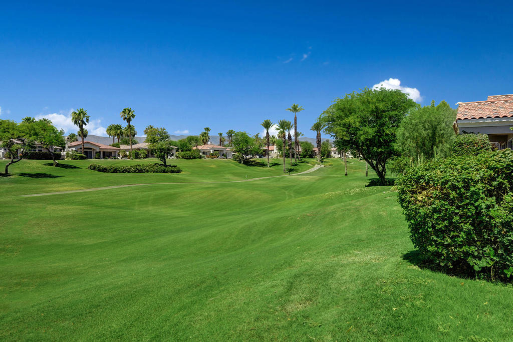 383 Desert Holly Drive - Photo 34