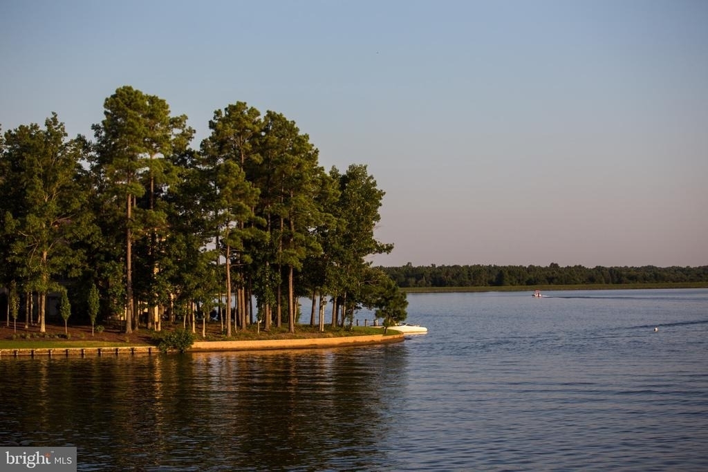 10706 Green Leaf Run - Photo 68