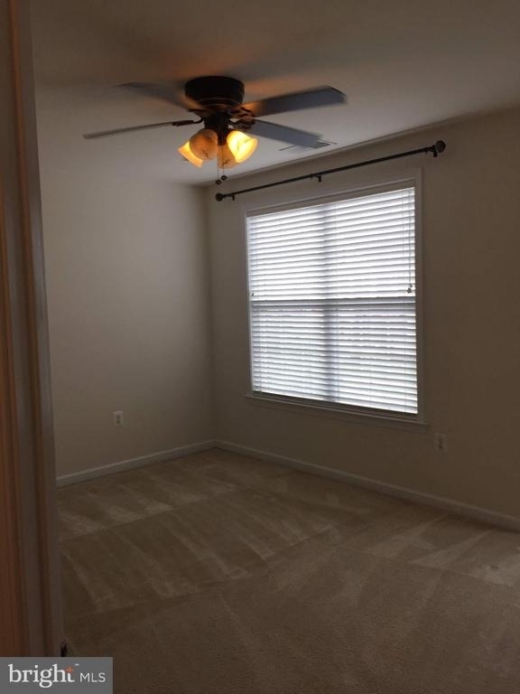 43165 Barnstead Drive - Photo 35