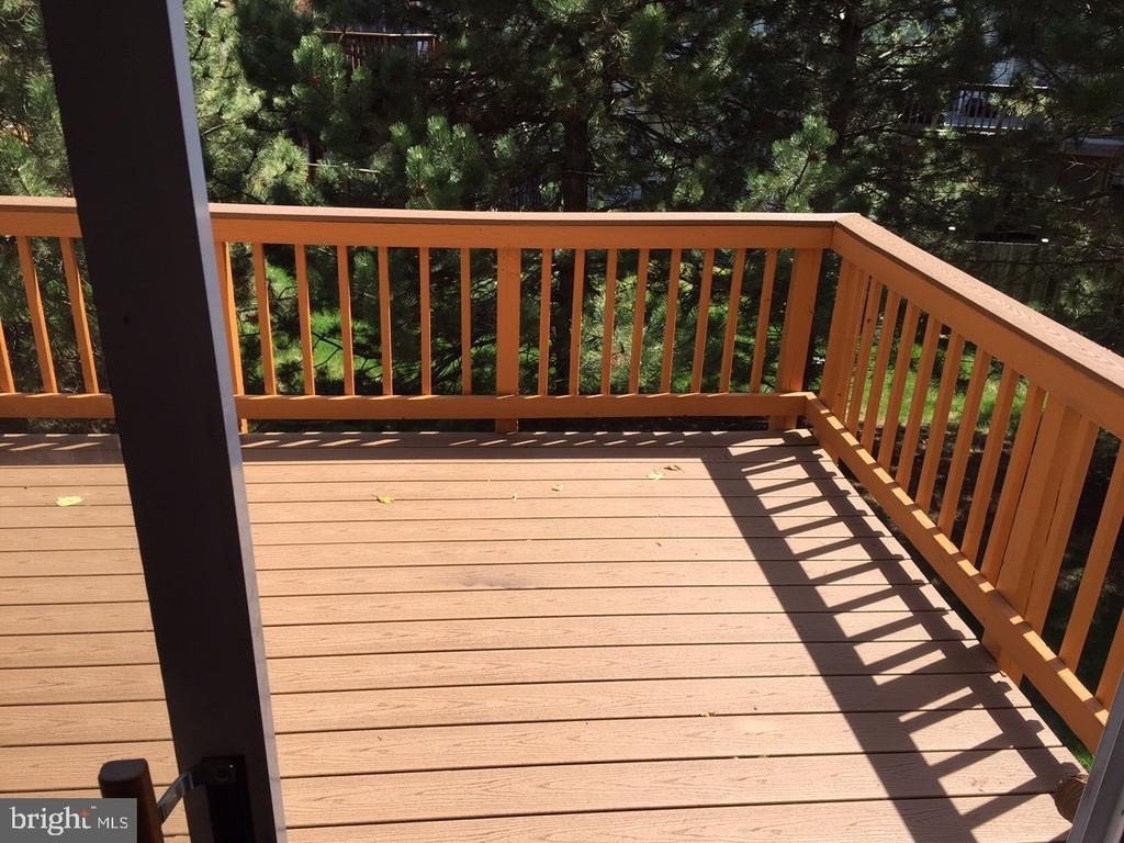 2503 Clover Field Circle - Photo 5