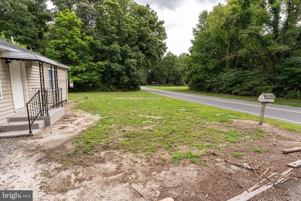 11700 San Domingo Road - Photo 3