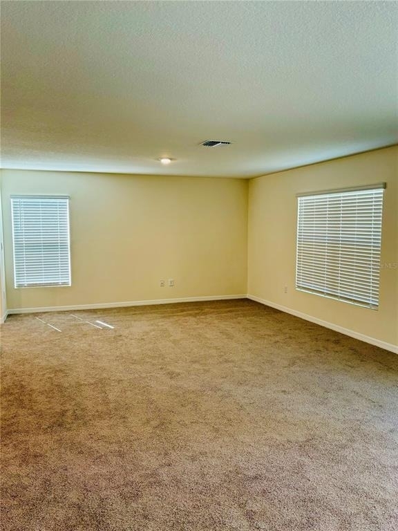 13649 Whiskey Daisy Drive - Photo 11